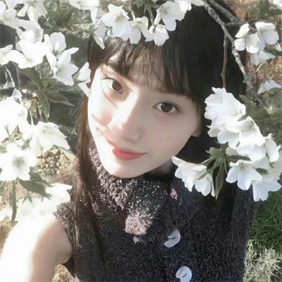 日本动画人博览会